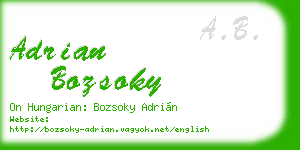adrian bozsoky business card